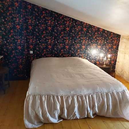 L'Appartement De La Maison Bleue 维勒雷阿勒 外观 照片